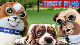 Feisty Dogs Rule Compilation Vol 3 [upl. by Alli]