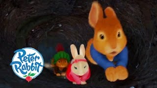 Peter Rabbit  Nutkin On The Run [upl. by Terena]