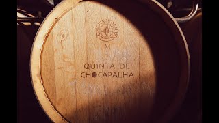 Alma dos Vinhos de Lisboa 2  Quinta de Chocapalha [upl. by Llewej765]