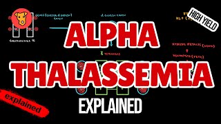 AlphaTHALASSEMIA Pathogenesis Electrophoresis Clinical symptoms for USMLE [upl. by Oberg]