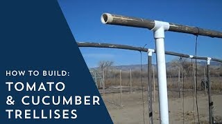 How to Build Tomato and Cucumber Trellises [upl. by Brigit522]