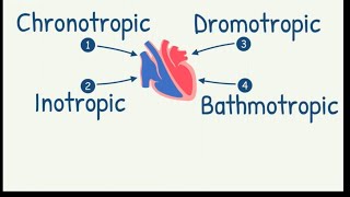 ChronotropicDromotropicInotropicBathmotropic Effects on HeartCardiac Tropism [upl. by Anaher]