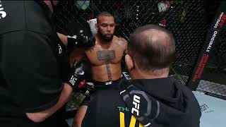 Glover Teixeira vs Thiago Santos [upl. by Yrrac360]