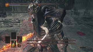 Lothric and Lorian Twin Princes Glitch and Freeze  DS3 2024 [upl. by Winograd265]