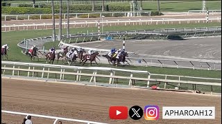 Fillies and Mares Sprint Down the Hill in the 2023 Senator Ken Maddy Stakes [upl. by Idroj]