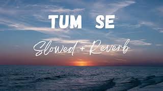 TUM SE  TUMSE KIRAN DHOOP KI  —  Slowed  Reverb 🎵🎧 [upl. by Vanhomrigh]