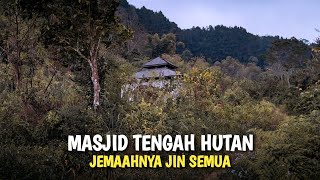 Menemukan Kampung dan Masjid Terbengkalai Tengah Hutan Berselimut Mistis [upl. by Nylac]