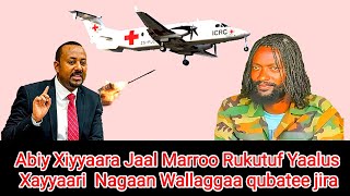 Mootummaan Xiyyaara Jaal Marron kessa Jiru Rukutuf Yaalus Xayyari Nagan qubate MilkeysaMedia [upl. by Selia]