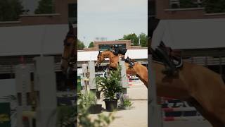 𝗡𝗼 𝗯𝗲𝘁𝘁𝗲𝗿 𝗳𝗲𝗲𝗹𝗶𝗻𝗴 ❤️🙌🏼 ⁣⁣horse showjumping [upl. by Missy389]