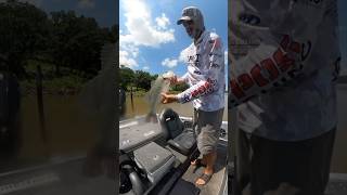 Road to the Bassmaster Elites Series  Stop 5 Lake Eufaula Oklahoma short fishing lakeeufaula [upl. by Lellih]