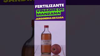 Fertilizante Casero de Vinagre de Manzana El Secreto Natural para Plantas Saludables [upl. by Sabrina981]