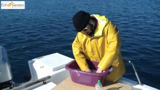 Faire la vaisselle à bord  Les EchoGestes de Voile Neptune [upl. by Damiano]