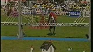 CLINTON I Holstein stallion at Falserbo Derby by wwwequineevolutioncom [upl. by Tarazi617]