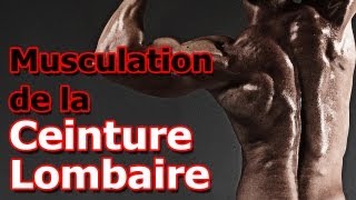 Exercice de Musculation de la Ceinture Lombaire [upl. by Elicul]