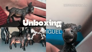 Unboxing Miguel the 5th Release in the Breyer Stablemates Club [upl. by Alohs]