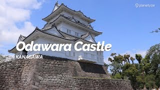 Odawara Castle Kanagawa  Japan Travel Guide [upl. by Rudman]