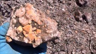 Fluorite crystal Collecting Last Chance MineWatson Mtn Prospect Turkey Creek New MexicoPart 6 [upl. by Zetrac693]