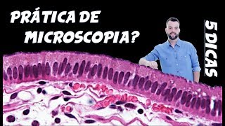 5 Dicas Aprenda a Reconhecer Lâminas de Microscopia [upl. by Ephraim]