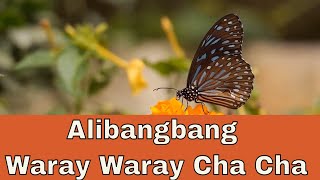 Alibangbang Waray Waray Cha Cha Music  NingD [upl. by Yeliab]