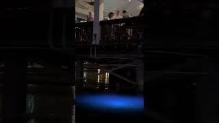 AMPHICAR EXPERIENCE AT DISNEY SPRINGS disney car disneysprings trending water subscribe [upl. by Zitah]