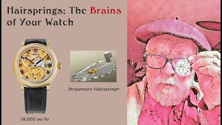 How Your Watch Works and the Role of the Hairspring [upl. by Elak469]