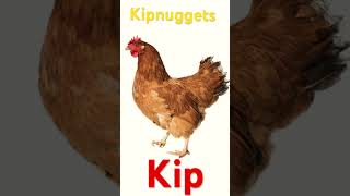 Kipnuggets [upl. by Elsworth]