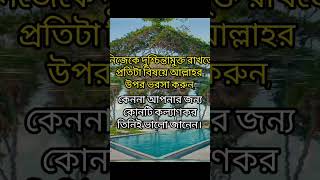 নিজেকে দুশ্চিন্তা মুক্ত রাখতে আল্লাহর উপর ভরসা করুন। sad foryou youtubeshorts islamiclove islam [upl. by Suolevram287]