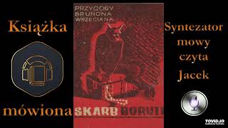 13 Brunon Wrzecian Skarb Boruty 1942 audiobook [upl. by Ecam210]