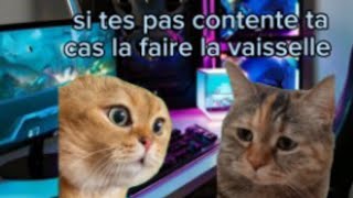 Quand la vaisselle passe après les jeux vidéo 😹🎮 [upl. by Einnad972]