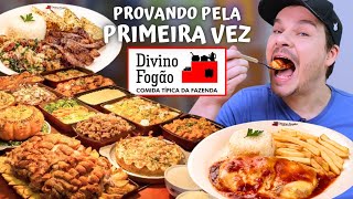 PROVAMOS PELA PRIMEIRA VEZ AS COMIDAS DO DIVINO FOGÃO  Vale a pena [upl. by Andromeda]