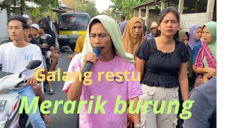 Panjika musik nyongkolanbelonngaskuripanmerarik burung Galang restu [upl. by Anit]