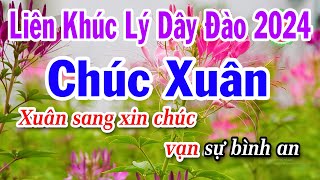 Karaoke Liên Khúc Lý Chúc Xuân 2024 Dây Đào  Điệu Lý Cải Lương Hay [upl. by Yniattirb]