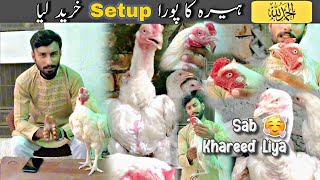 Heera Setup Khareed liya Heera Aseel ka Complete Setup Khareed Liya [upl. by Radcliffe]