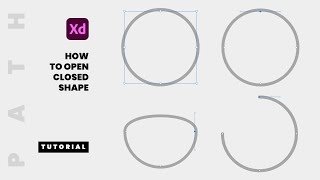 How to Open Closed Shape  Path in Adobe XD  Tips amp Tricks  Tutorial [upl. by Fabio]