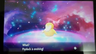 Pokemon Lets Go Eevee  Psyduck Evolving into Golduck [upl. by Alag619]