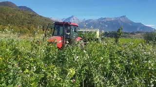 Semis dorge sous couvert végétal vivant Sky Easydrill HD 2017 [upl. by Dode560]