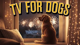 Firework Anti Anxiety Fun TV With Music to Help Your Dog on Bonfire Night NO ADS [upl. by Martita]