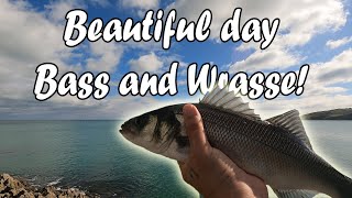 Bass and a Wrasse fixed my reel Is there anything they cant do [upl. by Aihsakal609]