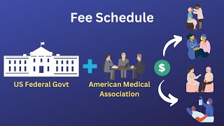 What is Fee Schedule Allowed AmountApproved Amount [upl. by Thorsten]