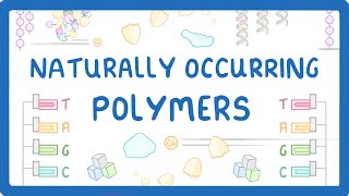 GCSE Chemistry  Naturally Occurring Polymers  Polypeptides DNA and Carbohydrates 61 [upl. by Edith]