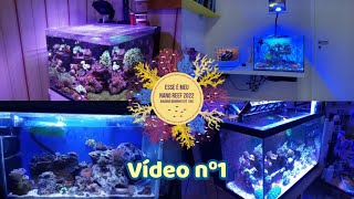 ESSE É MEU NANO REEF 2022  Vídeo nº1 [upl. by Braunstein]