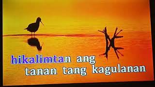 Maglipay Ta  Visayas Christmas Song KaraokeInstrumental [upl. by Ragucci]