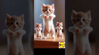 Three Kittens Dancing Happy – Lots of Cuteness in Motion [upl. by Birchard]