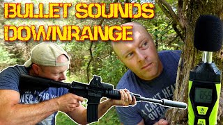 What do bullets sound like downrange subsonic suppressed vs supersonic [upl. by Nnayram]