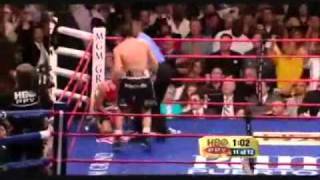 Pacquiao vs Margarito Fight Highlights [upl. by Miharba]