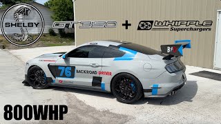 This 800whp GT350 Makes Me Want To Buy A Mustang Whipple Supercharged [upl. by Ellerad]