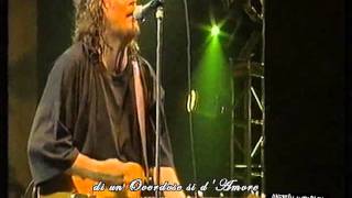 Zucchero  Overdose damore Live 1995 [upl. by Isbella]