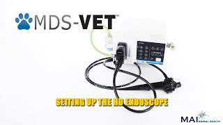 Endoscope Set Up [upl. by Aivital]