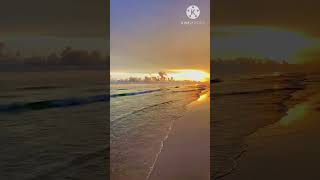 Mysterious Sceneries music flute song nature musica musicgenre instrumental [upl. by Cohin]