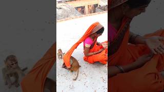 Chulbuli bajju new masti video monkeyvideosforkids monki funny cute [upl. by Hurlow]